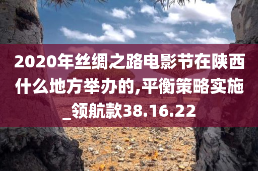 2020年丝绸之路电影节在陕西什么地方举办的,平衡策略实施_领航款38.16.22