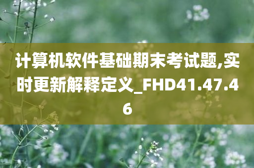 计算机软件基础期末考试题,实时更新解释定义_FHD41.47.46