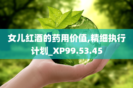 女儿红酒的药用价值,精细执行计划_XP99.53.45