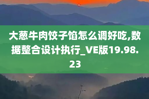 大葱牛肉饺子馅怎么调好吃,数据整合设计执行_VE版19.98.23