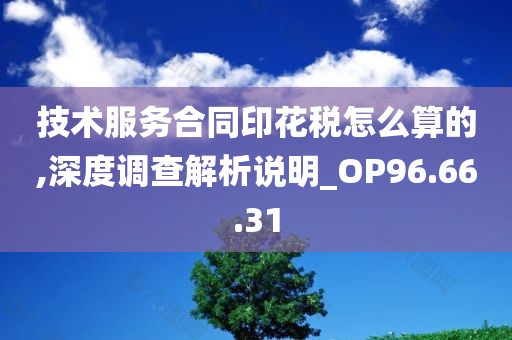 技术服务合同印花税怎么算的,深度调查解析说明_OP96.66.31