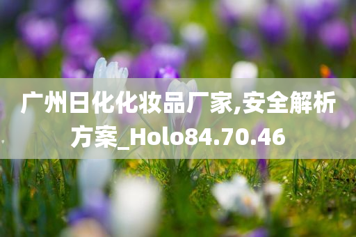 广州日化化妆品厂家,安全解析方案_Holo84.70.46