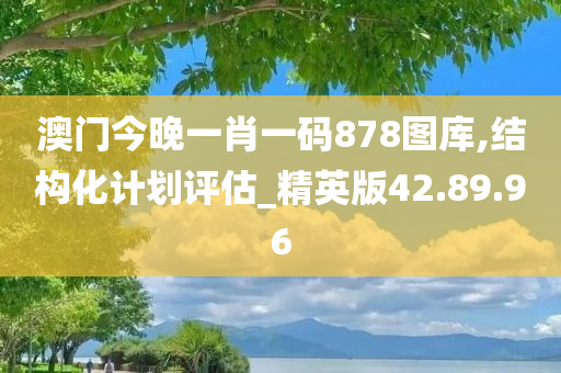 澳门今晚一肖一码878图库,结构化计划评估_精英版42.89.96