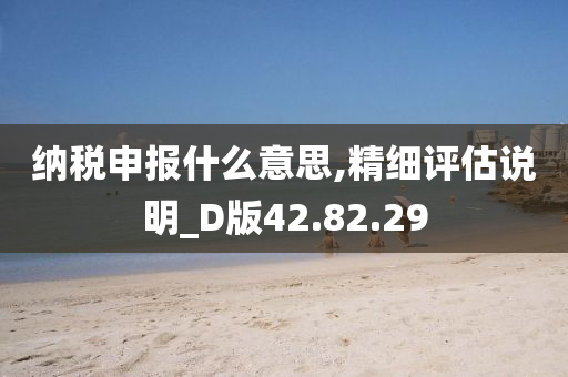 纳税申报什么意思,精细评估说明_D版42.82.29