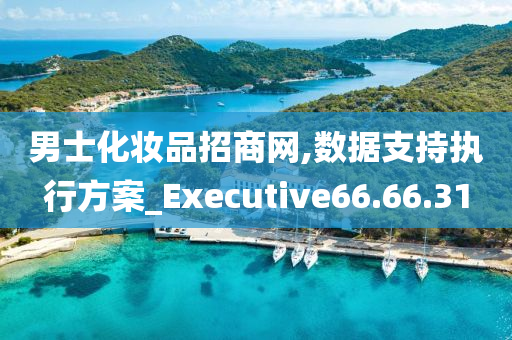 男士化妆品招商网,数据支持执行方案_Executive66.66.31