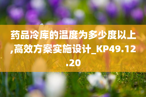 药品冷库的温度为多少度以上,高效方案实施设计_KP49.12.20