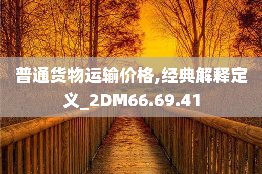 普通货物运输价格,经典解释定义_2DM66.69.41