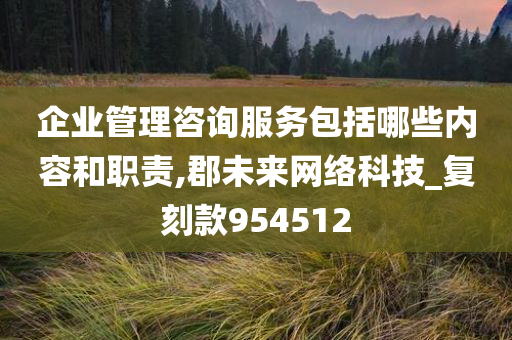 企业管理咨询服务包括哪些内容和职责,郡未来网络科技_复刻款954512