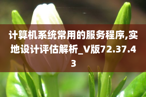 计算机系统常用的服务程序,实地设计评估解析_V版72.37.43