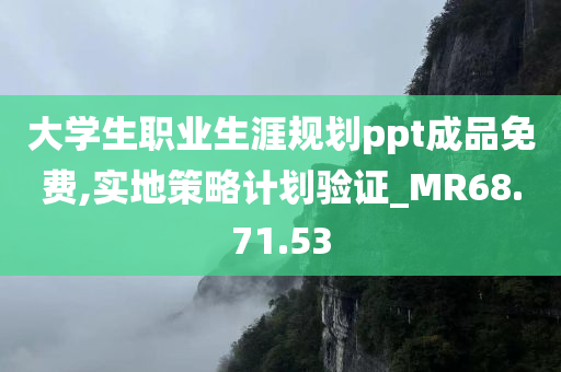 大学生职业生涯规划ppt成品免费,实地策略计划验证_MR68.71.53