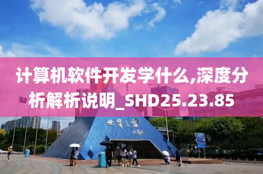 计算机软件开发学什么,深度分析解析说明_SHD25.23.85