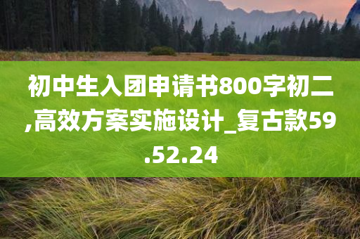 初中生入团申请书800字初二,高效方案实施设计_复古款59.52.24