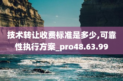 技术转让收费标准是多少,可靠性执行方案_pro48.63.99