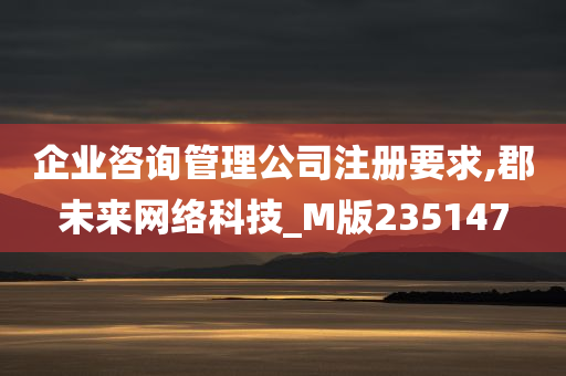 企业咨询管理公司注册要求,郡未来网络科技_M版235147