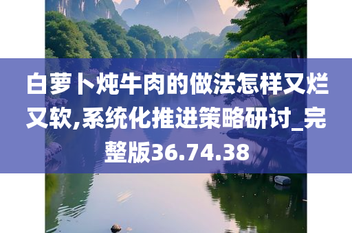 白萝卜炖牛肉的做法怎样又烂又软,系统化推进策略研讨_完整版36.74.38