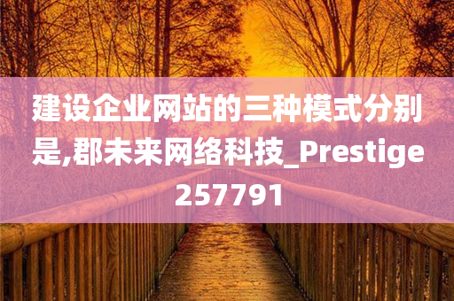 建设企业网站的三种模式分别是,郡未来网络科技_Prestige257791