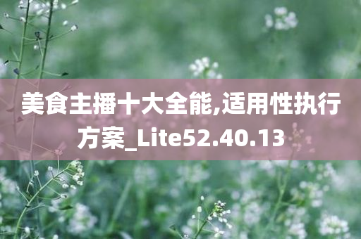 美食主播十大全能,适用性执行方案_Lite52.40.13