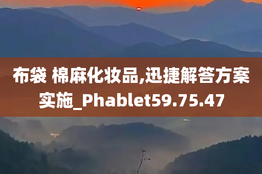 布袋 棉麻化妆品,迅捷解答方案实施_Phablet59.75.47