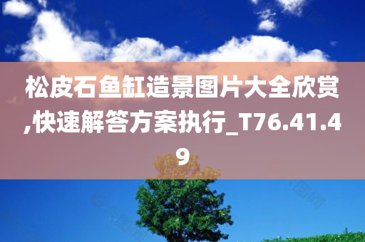 松皮石鱼缸造景图片大全欣赏,快速解答方案执行_T76.41.49