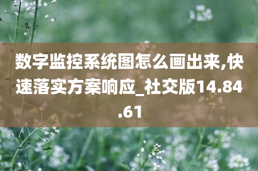 数字监控系统图怎么画出来,快速落实方案响应_社交版14.84.61