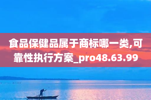 食品保健品属于商标哪一类,可靠性执行方案_pro48.63.99