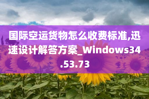 国际空运货物怎么收费标准,迅速设计解答方案_Windows34.53.73