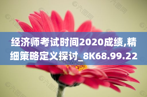 经济师考试时间2020成绩,精细策略定义探讨_8K68.99.22