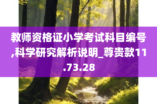 教师资格证小学考试科目编号,科学研究解析说明_尊贵款11.73.28