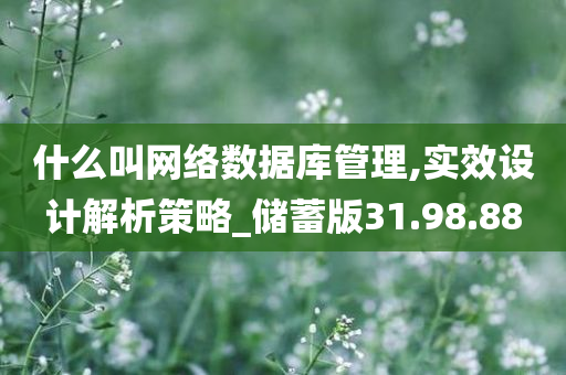 什么叫网络数据库管理,实效设计解析策略_储蓄版31.98.88