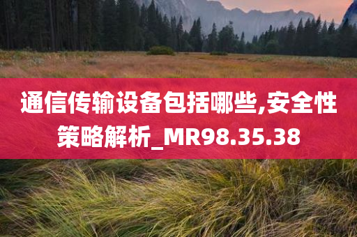 通信传输设备包括哪些,安全性策略解析_MR98.35.38