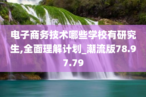 电子商务技术哪些学校有研究生,全面理解计划_潮流版78.97.79