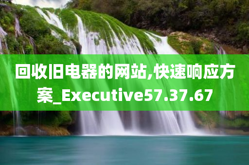 回收旧电器的网站,快速响应方案_Executive57.37.67