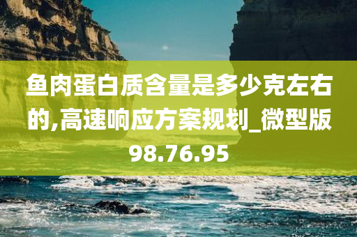 鱼肉蛋白质含量是多少克左右的,高速响应方案规划_微型版98.76.95