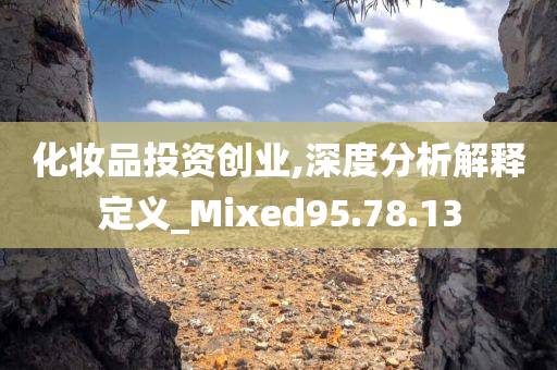 化妆品投资创业,深度分析解释定义_Mixed95.78.13