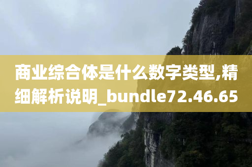 商业综合体是什么数字类型,精细解析说明_bundle72.46.65