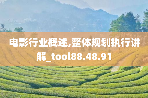 电影行业概述,整体规划执行讲解_tool88.48.91