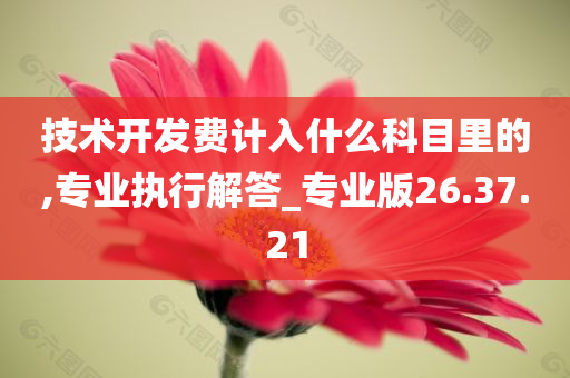 技术开发费计入什么科目里的,专业执行解答_专业版26.37.21