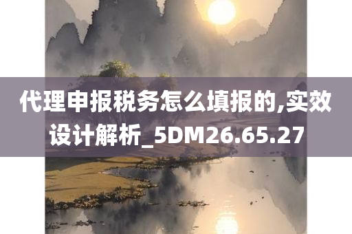 代理申报税务怎么填报的,实效设计解析_5DM26.65.27