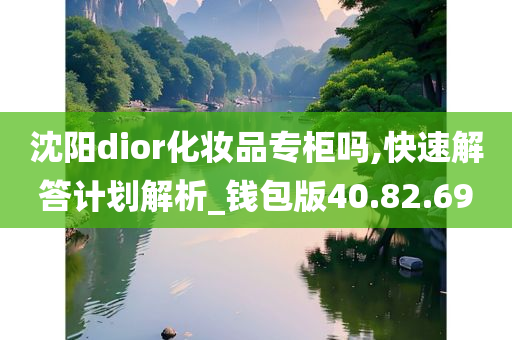 沈阳dior化妆品专柜吗,快速解答计划解析_钱包版40.82.69