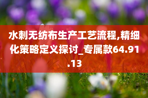 水刺无纺布生产工艺流程,精细化策略定义探讨_专属款64.91.13