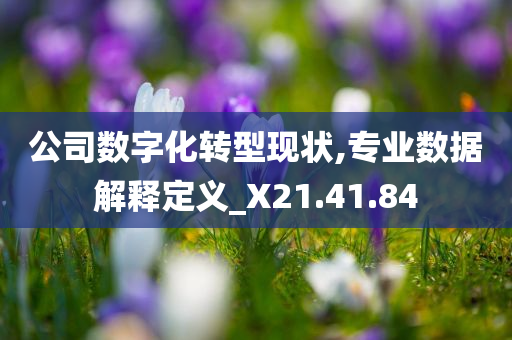 公司数字化转型现状,专业数据解释定义_X21.41.84