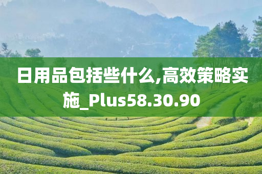 日用品包括些什么,高效策略实施_Plus58.30.90