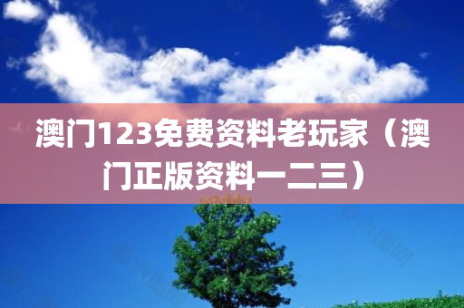 澳门123免费资料老玩家（澳门正版资料一二三）