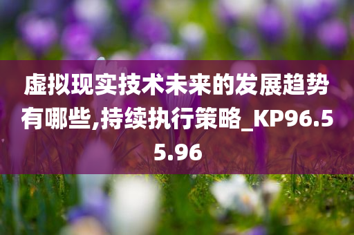 虚拟现实技术未来的发展趋势有哪些,持续执行策略_KP96.55.96