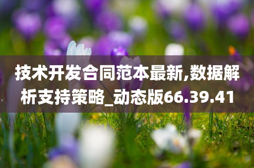 技术开发合同范本最新,数据解析支持策略_动态版66.39.41