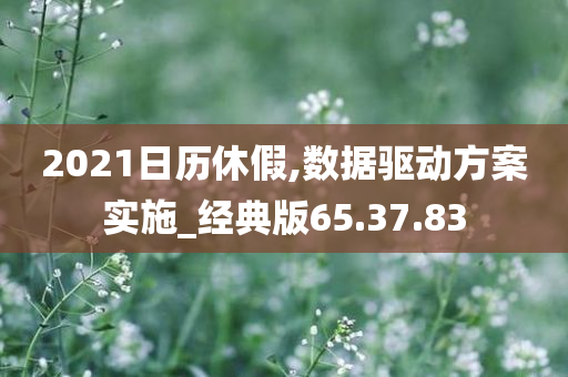 2021日历休假,数据驱动方案实施_经典版65.37.83