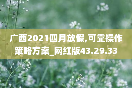 广西2021四月放假,可靠操作策略方案_网红版43.29.33