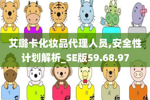 艾璐卡化妆品代理人员,安全性计划解析_SE版59.68.97