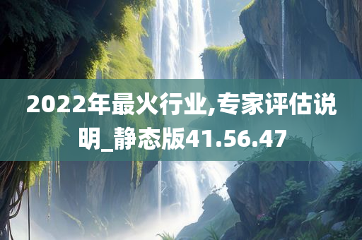 2022年最火行业,专家评估说明_静态版41.56.47