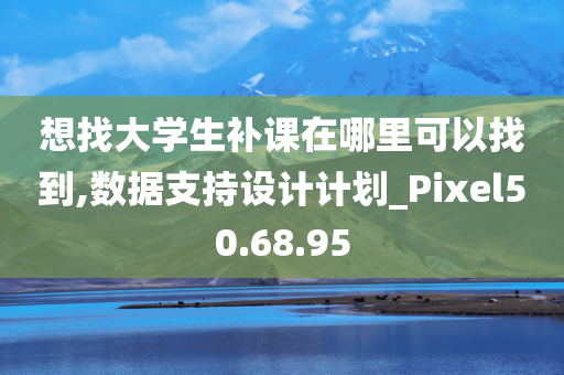 想找大学生补课在哪里可以找到,数据支持设计计划_Pixel50.68.95